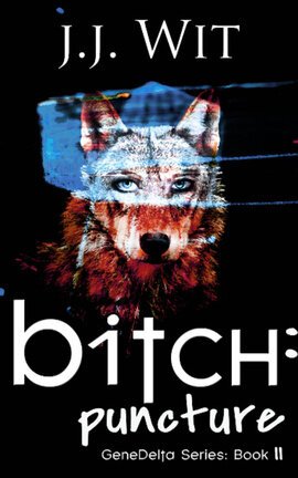 Bitch: Puncture (book 2)