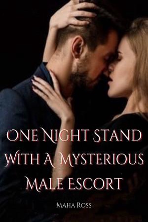 One Night Stand With A Mysterious Male Escort