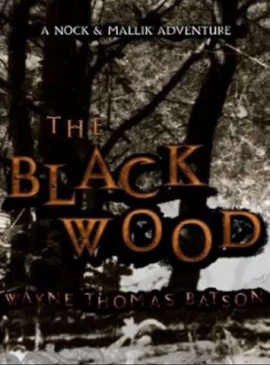 The Blackwood (The Door Within Trilogy Book 4)
