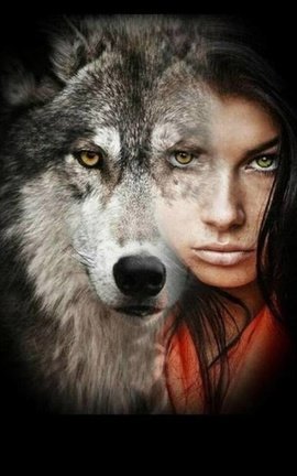 Wolf kind